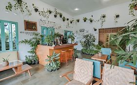 Snooze Yogyakarta